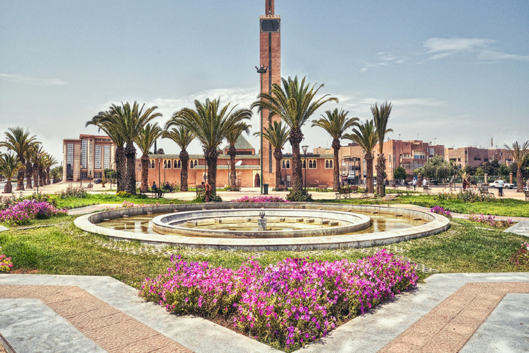 From Agadir: Legzira Beach and Tiznit Day Tour with Lunch Departure from Agadir