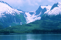 From Anchorage, Wilderness, Wildlife, & Glacier Experience - Housity