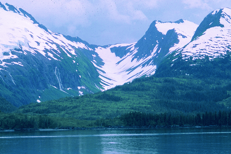 From Anchorage: Wilderness, Wildlife, & Glacier Experience