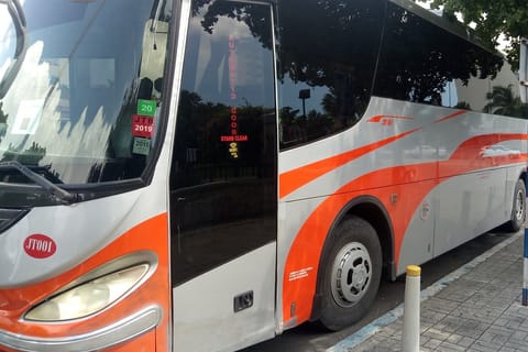 From Montego Bay Airport (MBJ): Private Transfer to Negril