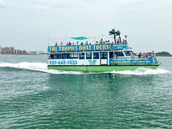 Clearwater Beach: Bootsfahrt mit Delfinsichtungen Clearwater Beach: Bootsfahrt mit Delfinsichtungen