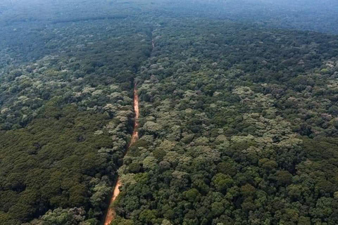 Day tour to Kakamega Rainforest from Kisumu