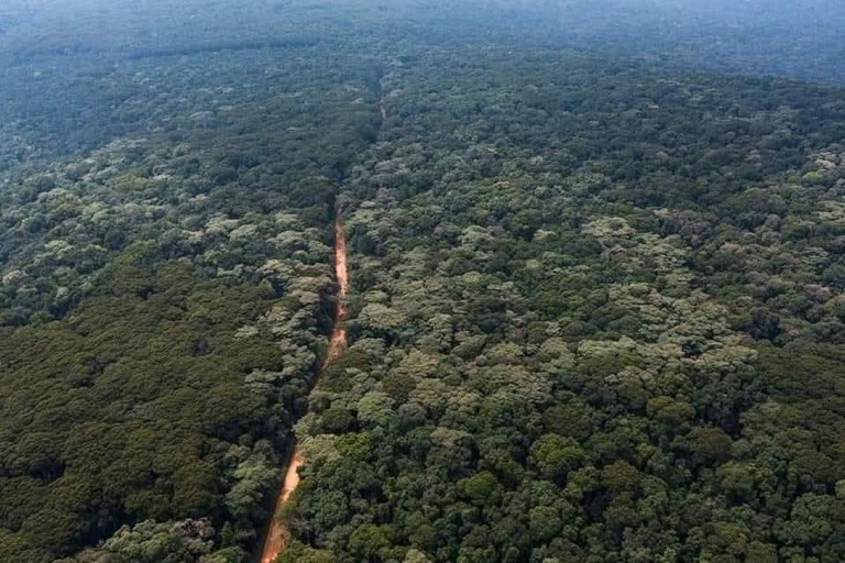 Day tour to Kakamega Rainforest from Kisumu