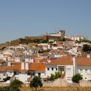 From Lisbon: Private Customized Small-Group Tour to Evora