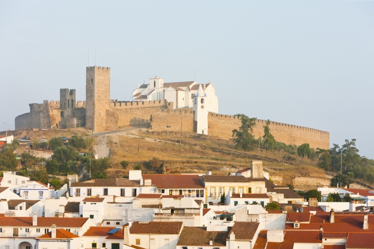 From Lisbon: Private Customized Small-Group Tour to Evora