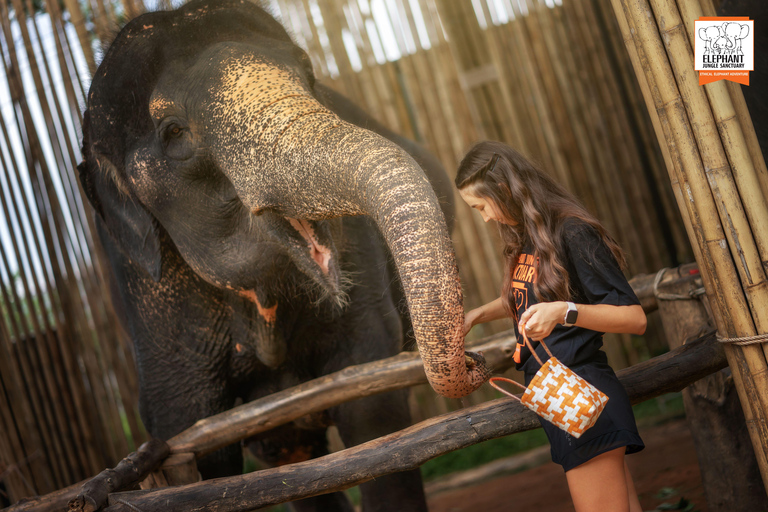 Phuket: Elephant Jungle Sanctuary Ethical Feeding Experience