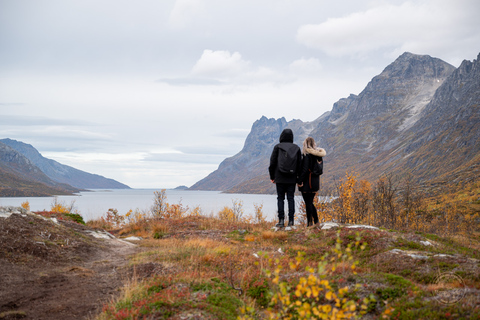 Desde Tromsø: viaje por el Ártico en 4x4 para grupos pequeñosDesde Tromsø: Kvaløya 4x4 Arctic Roadtri