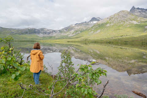 Ab Tromsø: Kleingruppen-Abenteuer im Allrad-FahrzeugAb Tromsø: Allrad-Safari nach Kvaløya