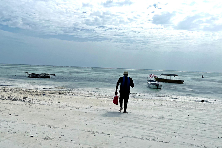 ZANZIBAR: SWIMMING WITH DOLPHIN AND SNORKELING