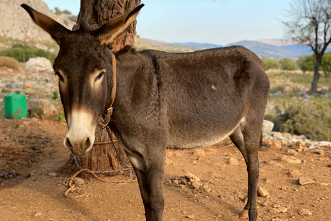 Lindos: aventure de randonnée en petit groupeVisite avec point de rencontre