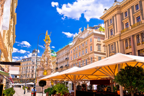 Salzburg: Wien heldags privat tur med transport13 timmar: Wien och slottet Schonbrunn