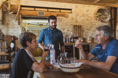 Verona: Wine Tasting Experience with Optional Charcuterie