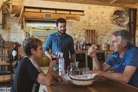 Da Verona: Tour delle cantine della Valpolicella con degustazioni di Amarone