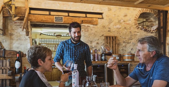 Valpolicella: Tour 6 wine tasting Amarone and Recioto