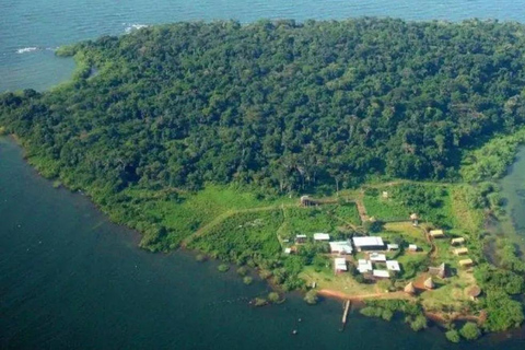 Ngamba Island Chimpanzee Sanctuary Tour