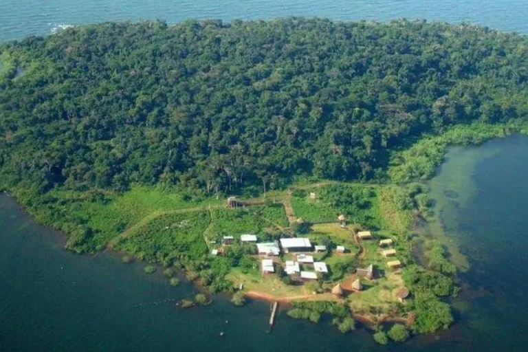 Ngamba Island Chimpanzee Sanctuary Tour