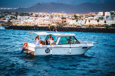 Tenerife sur: crucero nocturno romántico