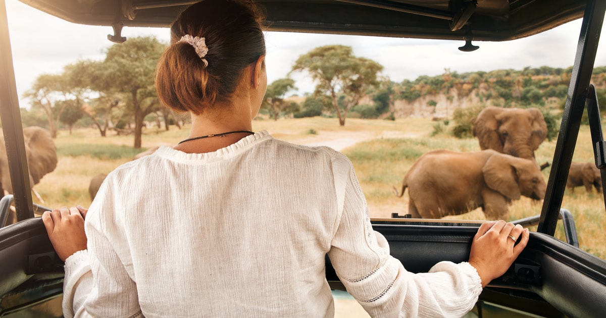 Johannesburg: Pilanesberg National Park Safari with Lunch