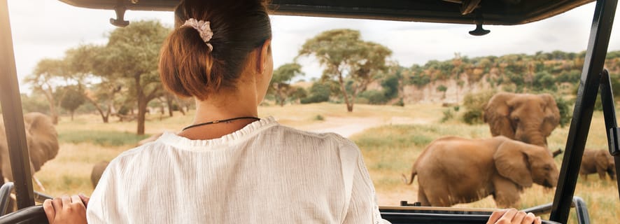 Pilanesberg Wildlife Safari from Johannesburg
