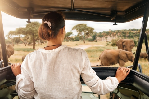Johannesburg: Pilanesberg National Park Safari met lunchOpen en gesloten voertuigsafari met lunch