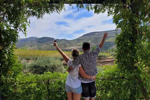 From Porto: Douro Valley w/ Boat Tour, Wine Tasting & Lunch