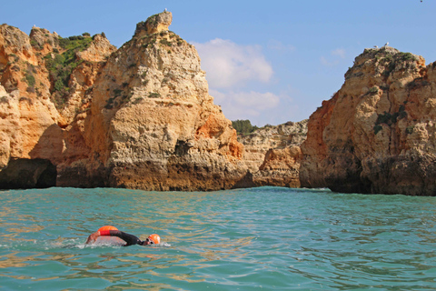 Algarve: Open Water SwimmingAlgarve: Open Water Swimming Tour