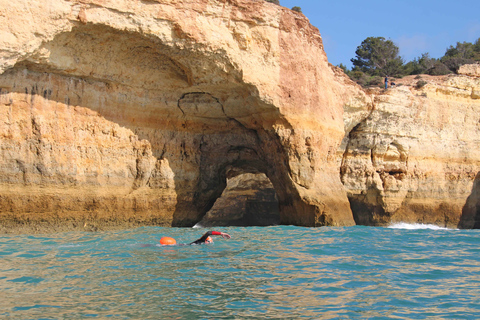 Algarve: Open Water SwimmingAlgarve: Open Water Swimming Tour