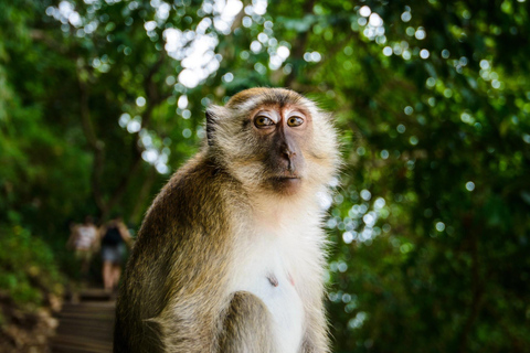 Krabi : excursion sur l&#039;île de James Bond et à Phang Nga en bateau à longue queueTour en bateau à longue queue dans la baie de Phang Nga