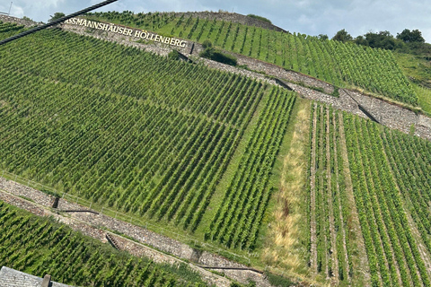 Rüdesheim: Die 0,0 Promille Weinproben Tour