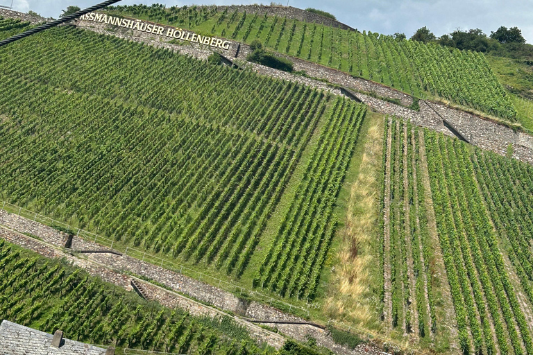 Rüdesheim: Die 0,0 Promille Weinproben Tour