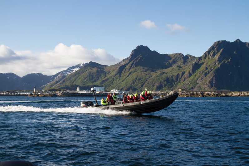 Vanuit Svolvær: RIB Zeearend Safari Trollfjord cruise