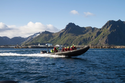 Ze Svolvær: Rejs RIB Sea Eagle Safari Trollfjord