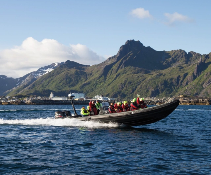 Svolvær: safari con l'aquila di mare in RIB e crociera nel Trolljord
