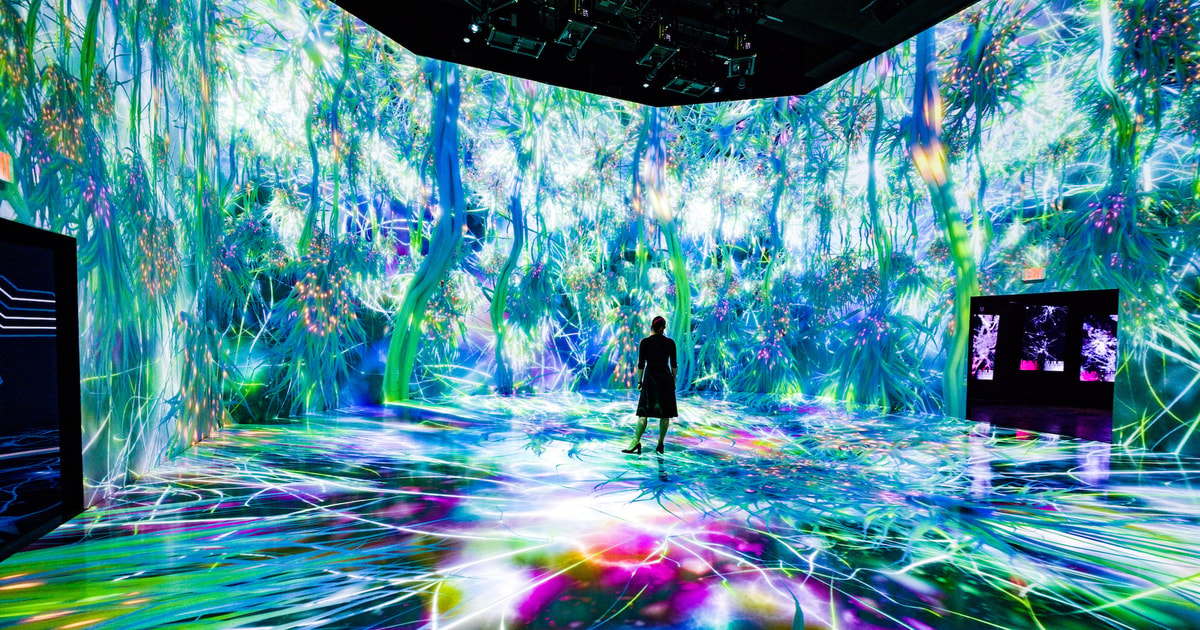 Washington, DC: ARTECHOUSE Immersive Art Experience Ticket | GetYourGuide