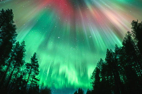 Rovaniemi: Aurora Hunting Guaranteed Tour (Private)
