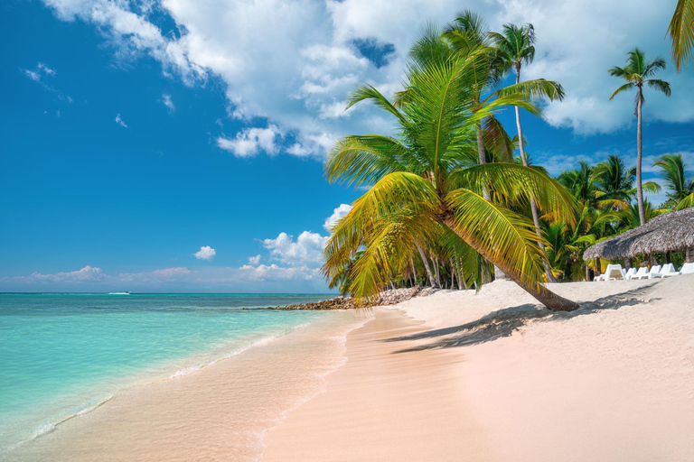 Los Haitises, Cayo Levantado & Playa Rincón from Samaná Port