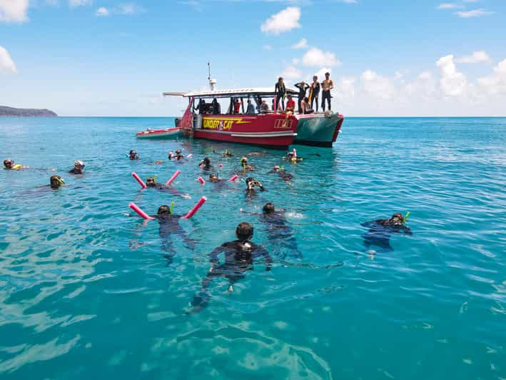 Airlie Beach Whitehaven Full Day Eco Cruise With Lunch Getyourguide