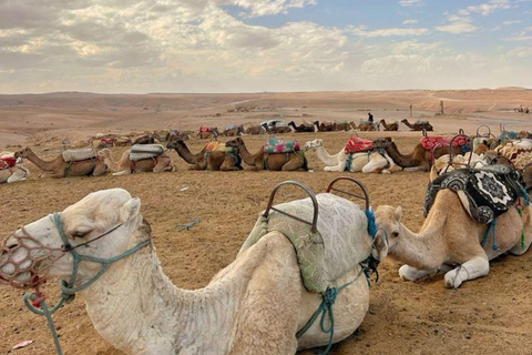 Mittagessen &amp; Schwimmen Kamelritt und Quadfahren in Agayaf