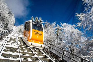 From Vienna: Hallstatt Day Trip with boatride & Schloss Ort