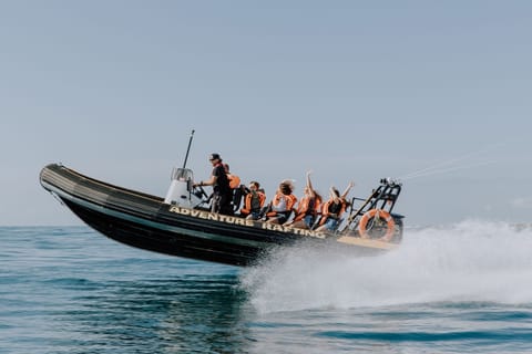 Mooloolaba: Adventure Rafting Wildlife Tour