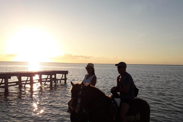 Sunset Horseback Adventure in Holbox