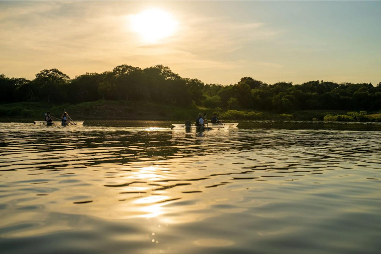 Grapevine Lake: Clear Kayak Tour