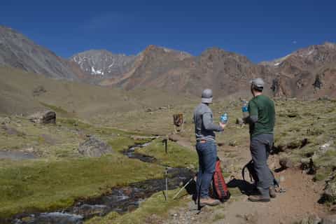 From Mendoza: Full-Day Cordon del Plata Andes Trek