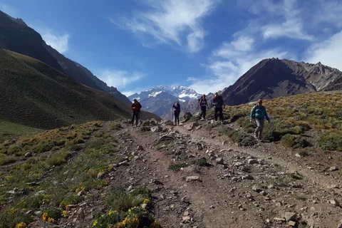 Mendoza: Tour di alta montagna e del parco dell'Aconcagua con barbecue
