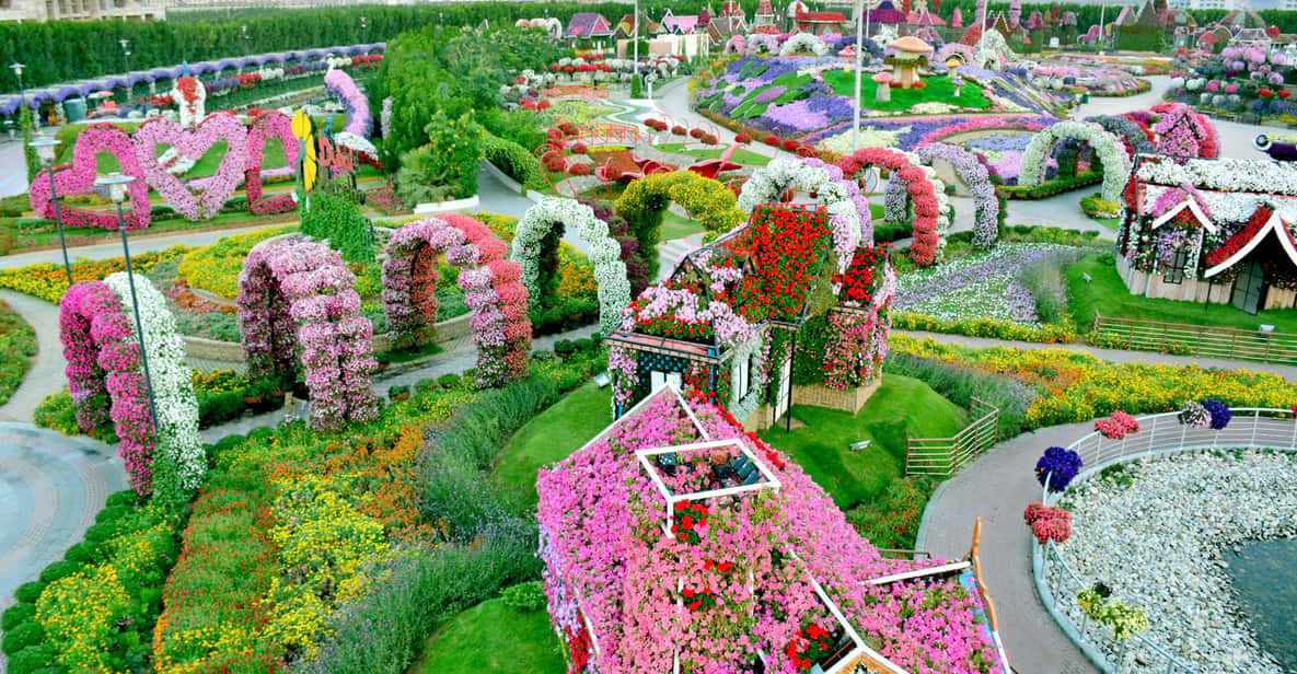 Dubai Miracle Garden Skip The Line Ticket Getyourguide