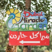 Dubai Miracle Garden: Ticket ohne Anstehen