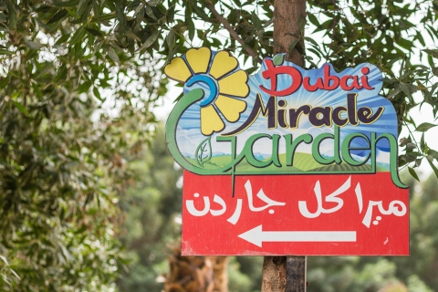 Dubái: entrada sin colas al Dubai Miracle Garden