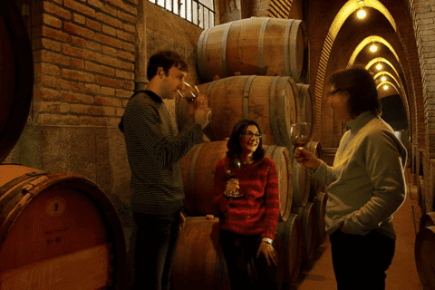 Salou: Priorat & Siurana Wine-Cellar Tour with Wine Tasting