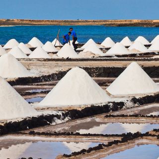 Lanzarote: Janubio Salt Flats Guided Tour