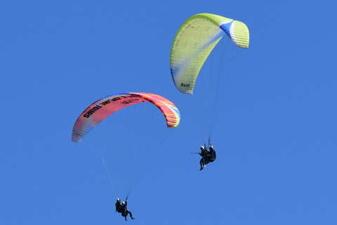 Vík: Vuelo en parapente en tándemVuelo en tandem parapente